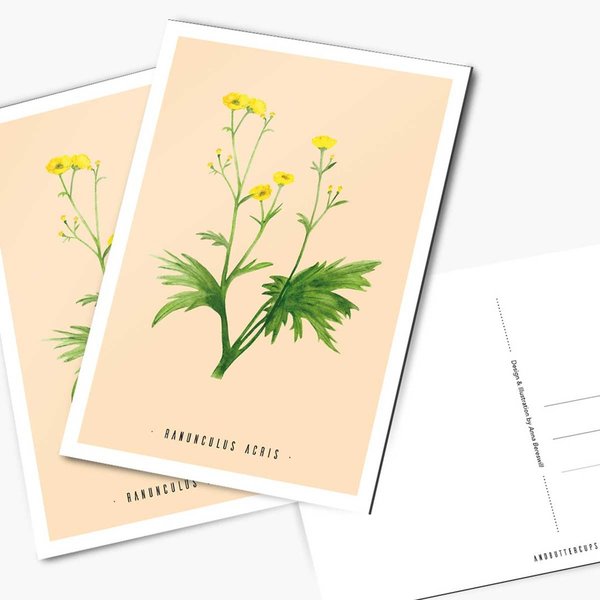 Postkarte Butterblume • DIN A6 • Vintage Illustration