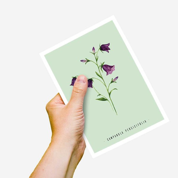 Postkarte Glockenblume • DIN A6 • Vintage Illustration