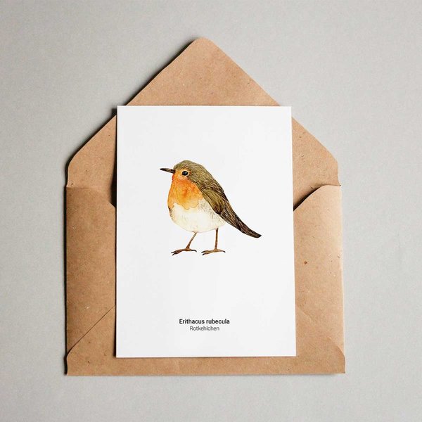 Grußkarte Rotkehlchen • DIN A6 • Illustration Vogel