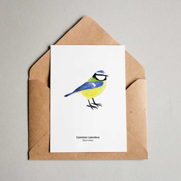 Grußkarte Blaumeise • DIN A6 • Illustration Vogel