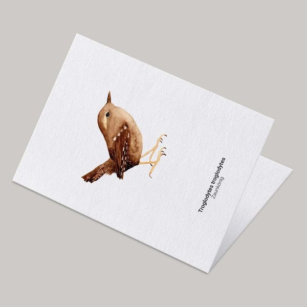 Grußkarte Zaunkönig • DIN A6 • Illustration Vogel