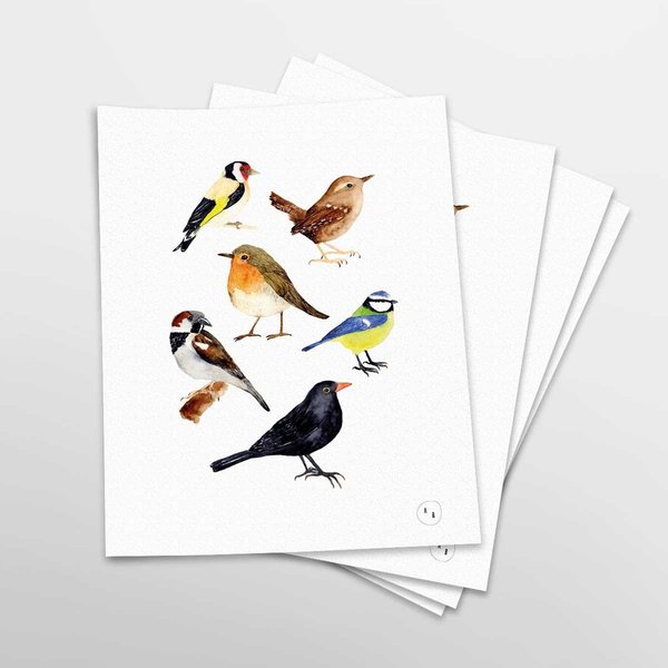 Art Print Gartenvögel • DIN A4 • Illustration