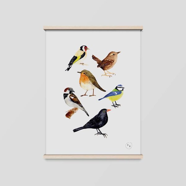 Art Print Gartenvögel • DIN A4 • Illustration