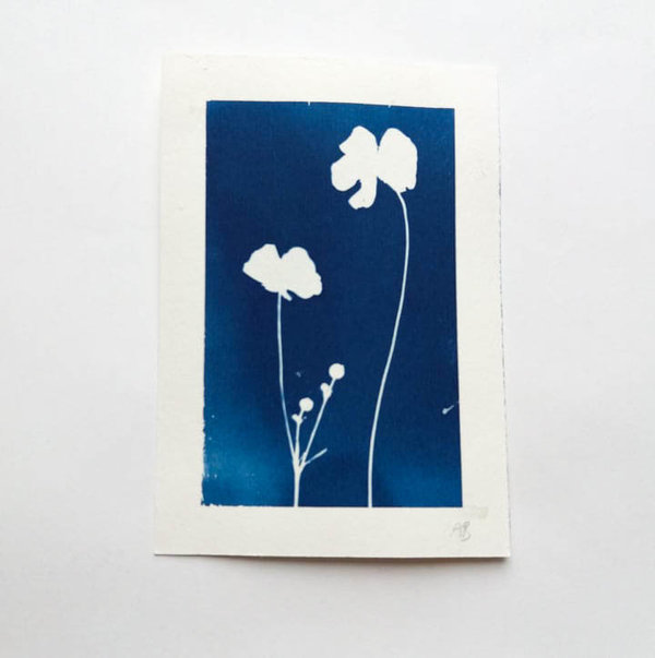 Cyanotypie Butterblume • 9x13 cm • Original Blaudruck