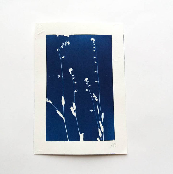 Cyanotypie Vergissmeinnicht • 9x13 cm • Original Blaudruck